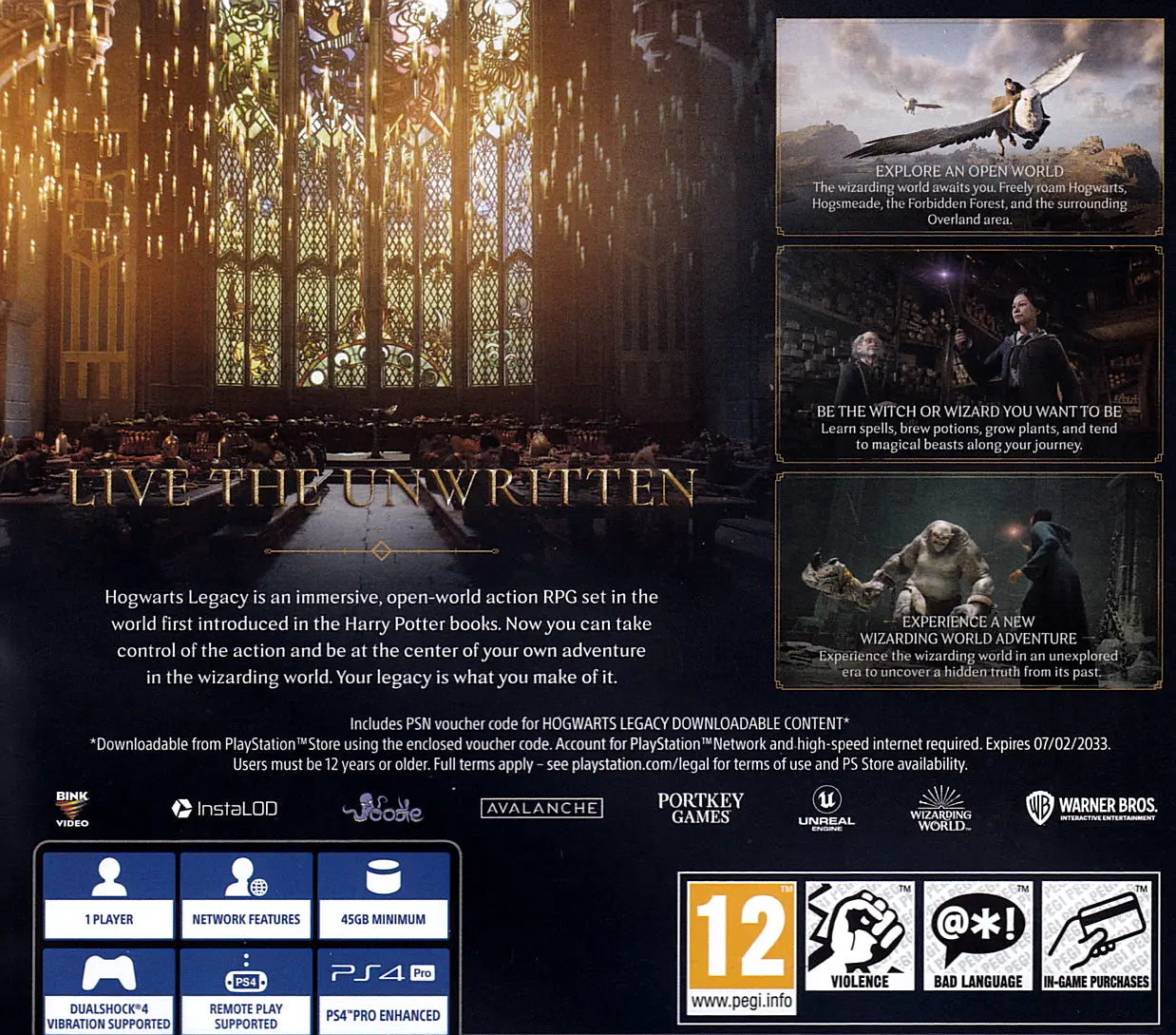 Hogwarts Legacy PS4 Back Cover Art