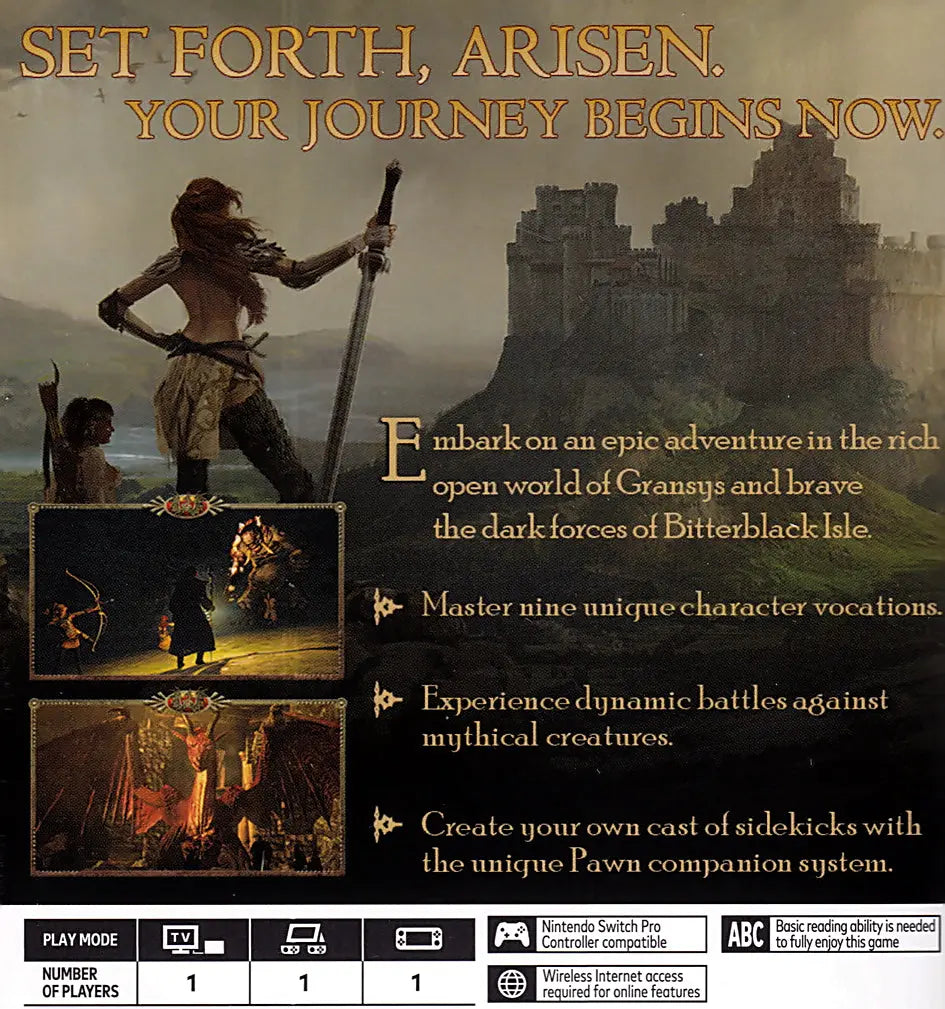 Dragon's Dogma Dark Arisen Switch Back Cover Art