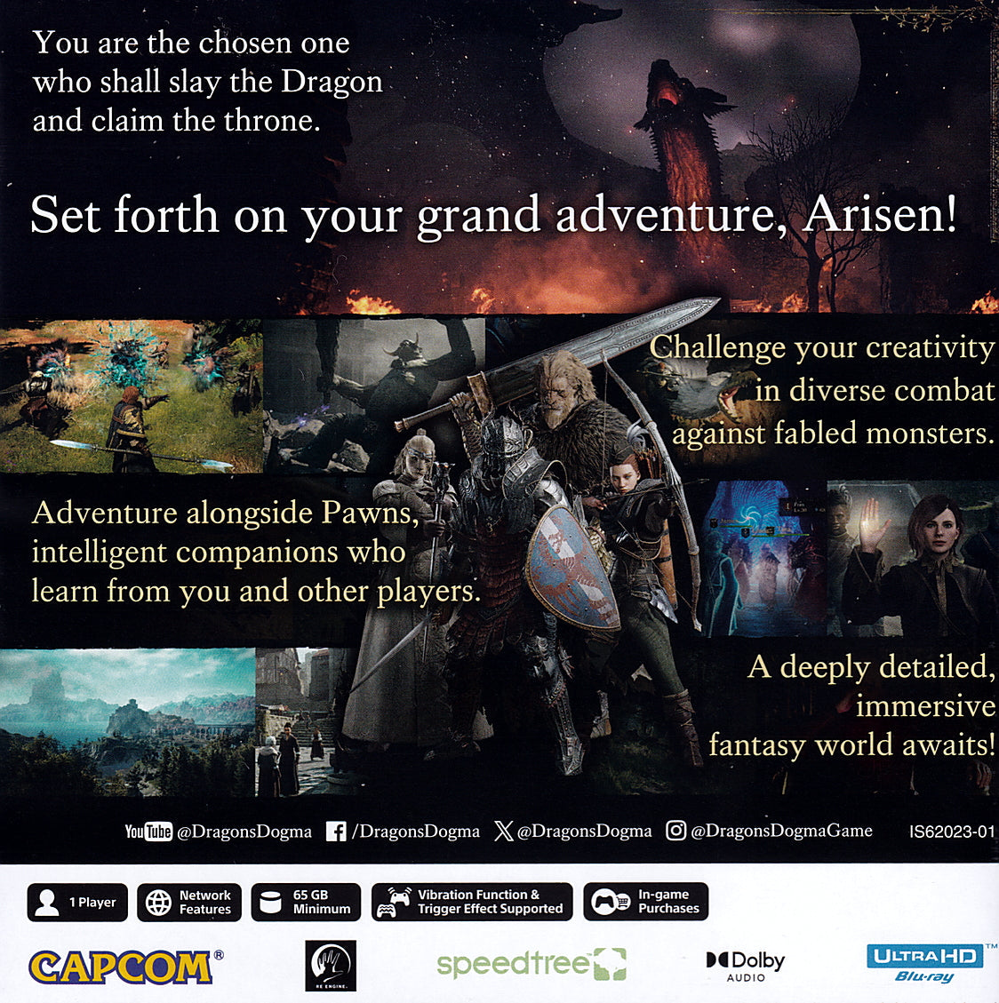 Dragon's Dogma II PS5 Back Cover Art