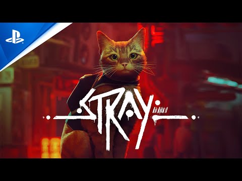 Stray PS5