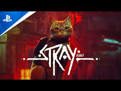 Stray PS5